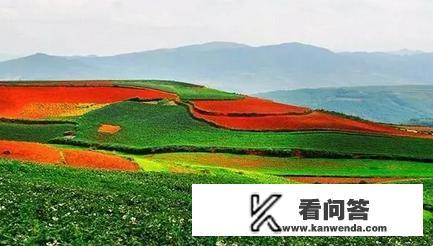 昆明寻甸有几个村镇？