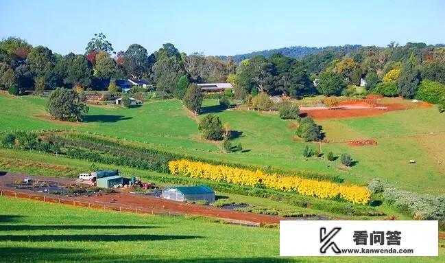 高考完了，我和同学打算去浙江旅游，请问浙江有什么好玩的景点？