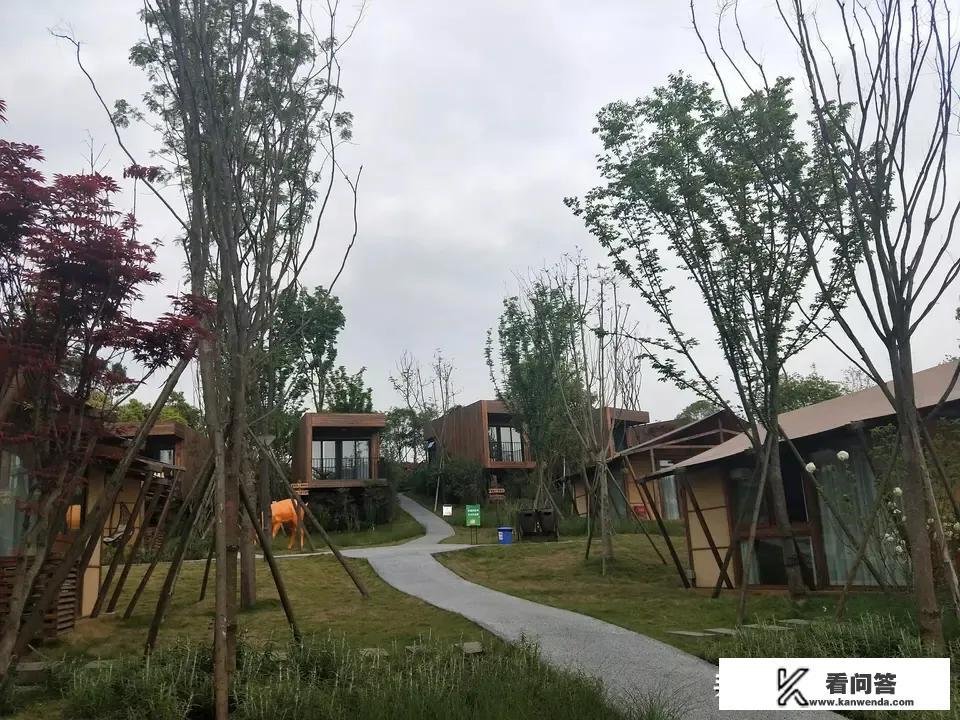 高考完了，我和同学打算去浙江旅游，请问浙江有什么好玩的景点？