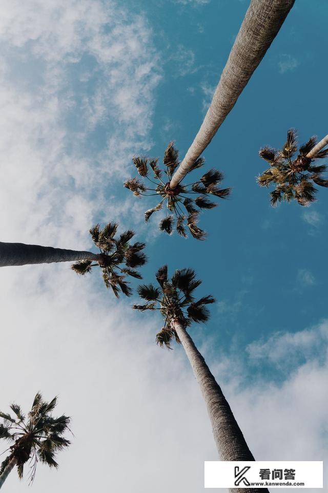 想移居海南儋州，儋州有啥优缺点？