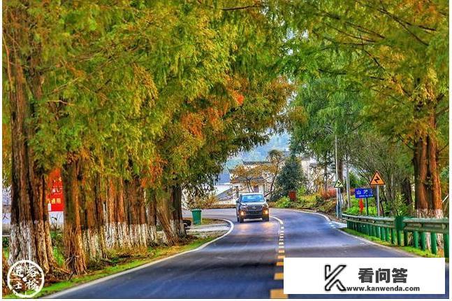 黄山自助游的攻略有什么？