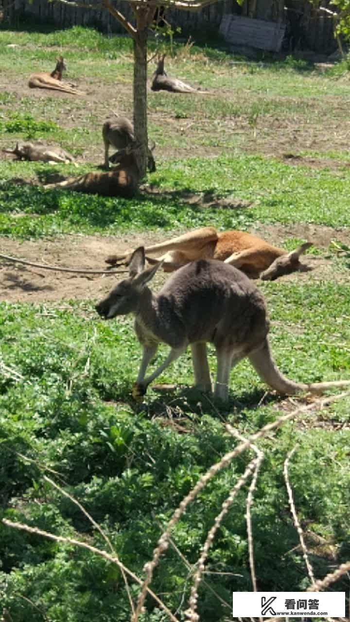适合小朋友的国学课程有哪些? 适合小朋友的国学课程有哪些?