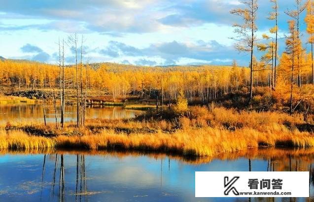 自驾游大神们能否帮我做一个为期5天，从白城出发到满洲里再返回白城的路线攻略？