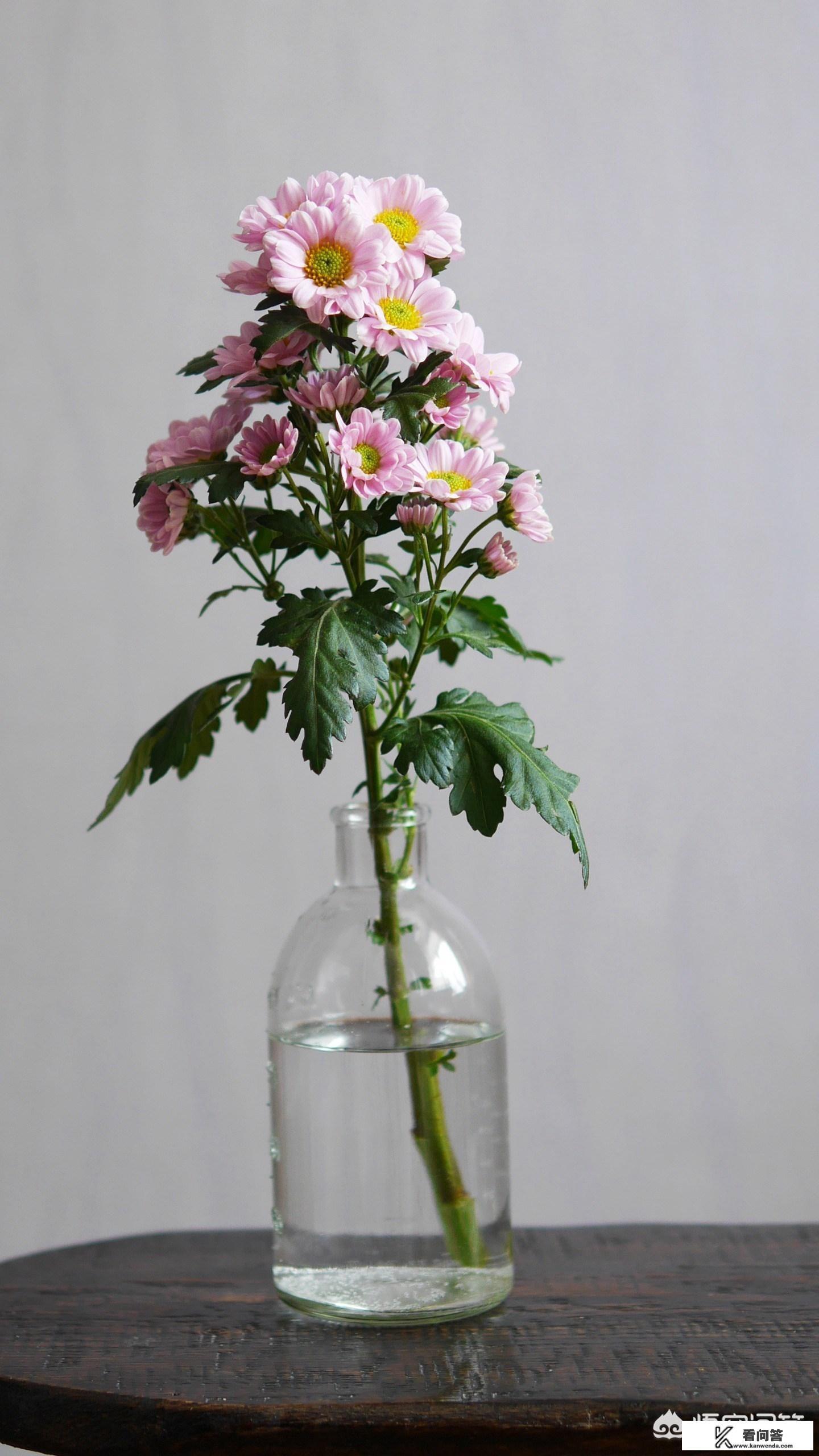 生日许什么愿望? 生日许什么愿望?