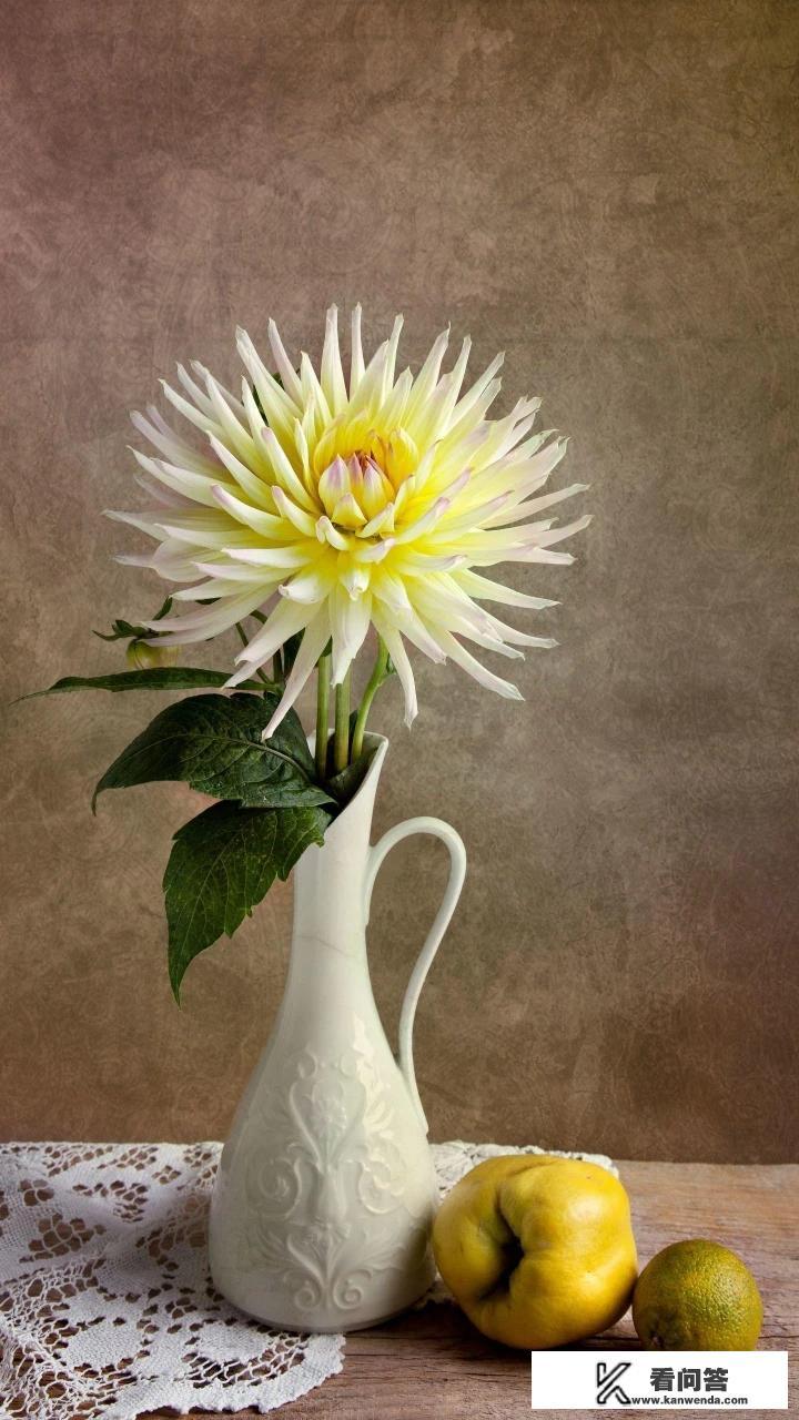 生日许什么愿望? 生日许什么愿望?