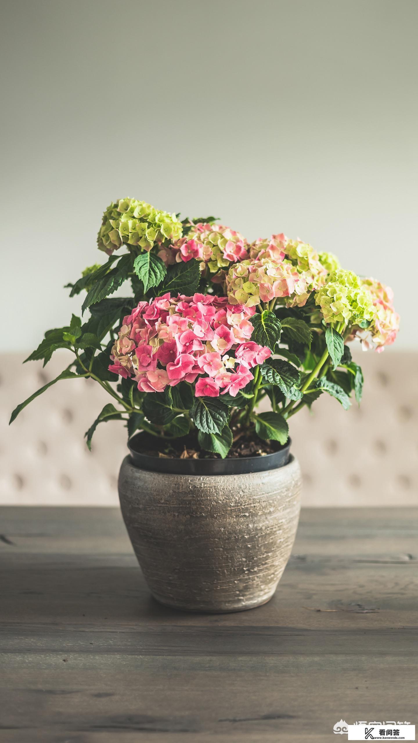 生日许什么愿望? 生日许什么愿望?