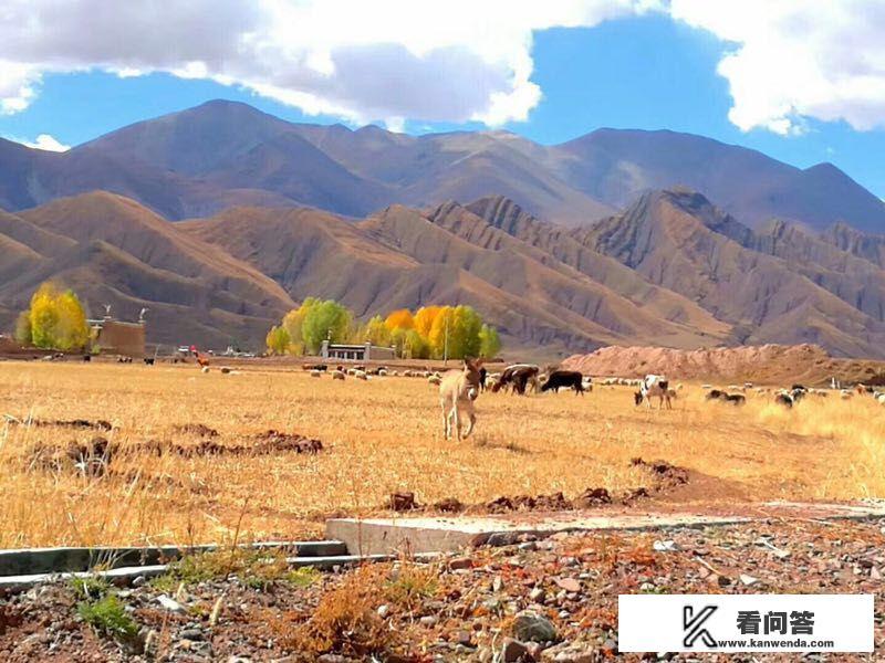 想去拉萨旅游,住宿哪里好? 想去拉萨旅游,住宿哪里好?
