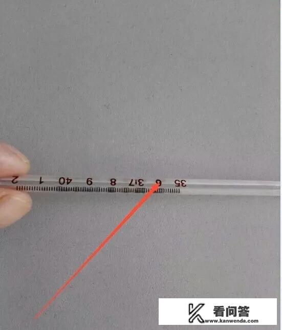 如何正确观测水银温度计？