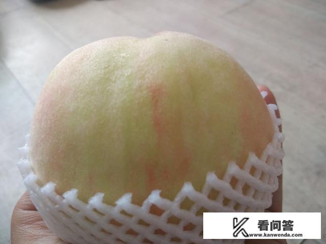 桃树苗哪有卖的? 桃树苗哪有卖的?