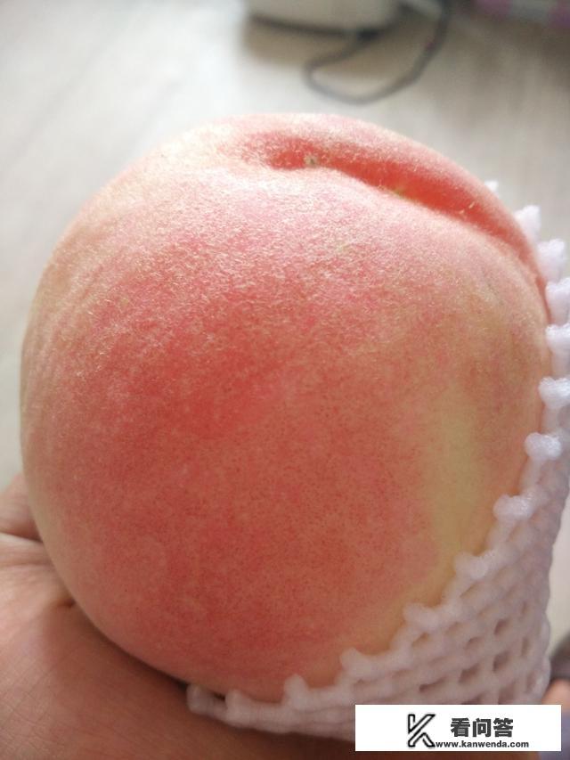 桃树苗哪有卖的? 桃树苗哪有卖的?