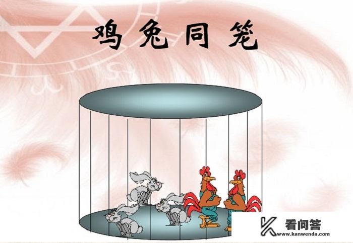 某高校校长举5米长竹竿讲PPT的视频走红网络，你怎么看校长的这一行为？