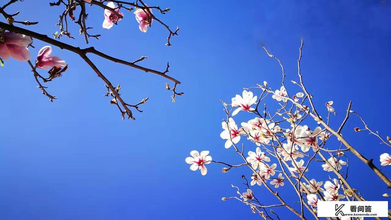 丽江客栈排名比较好的客栈？