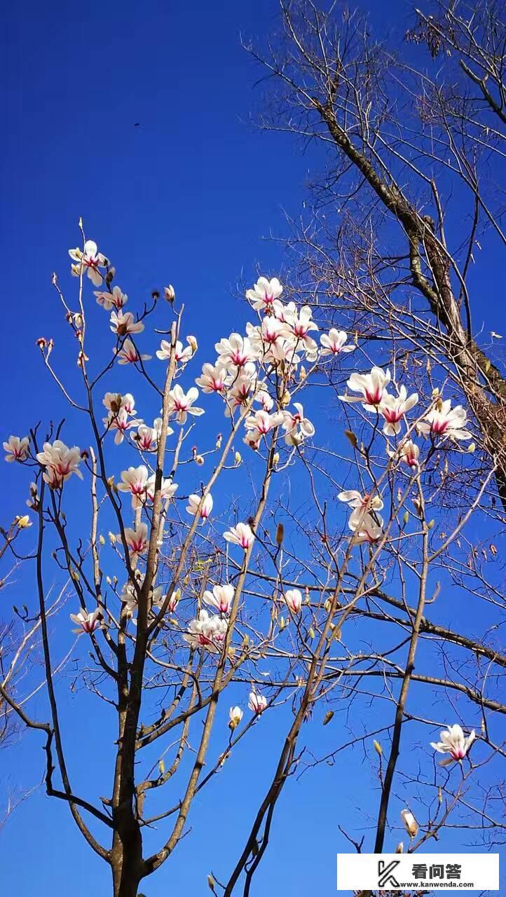 丽江客栈排名比较好的客栈？