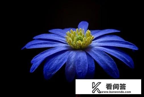 亲姐姐暖房弟弟要去吗? 亲姐姐暖房弟弟要去吗?