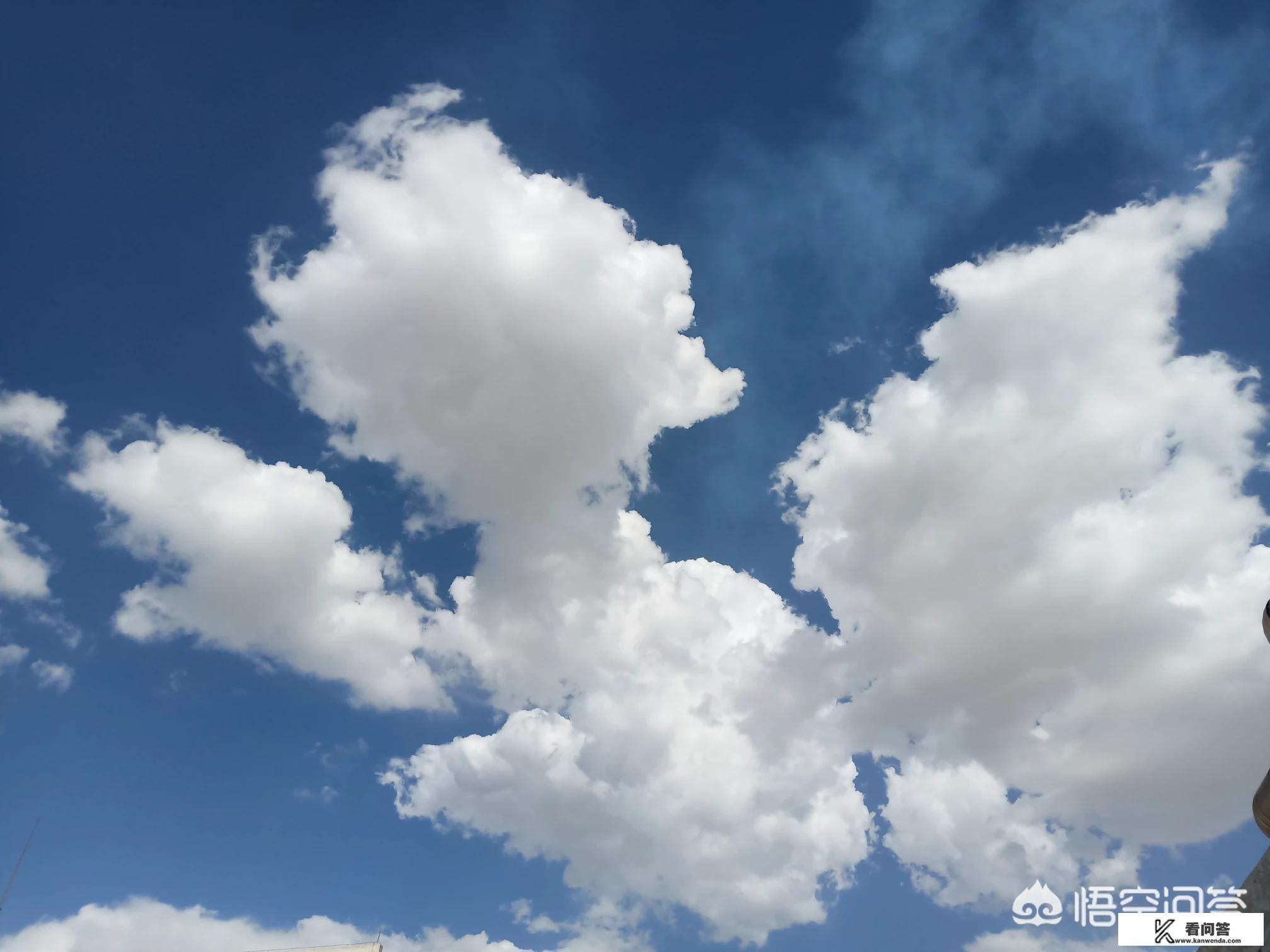 为什么招生考试网登录显示身份证不存在？