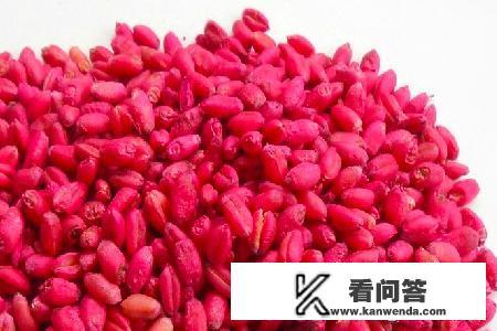 有老鼠怎么办?什么老鼠药最管用? 有老鼠怎么办?什么老鼠药最管用?