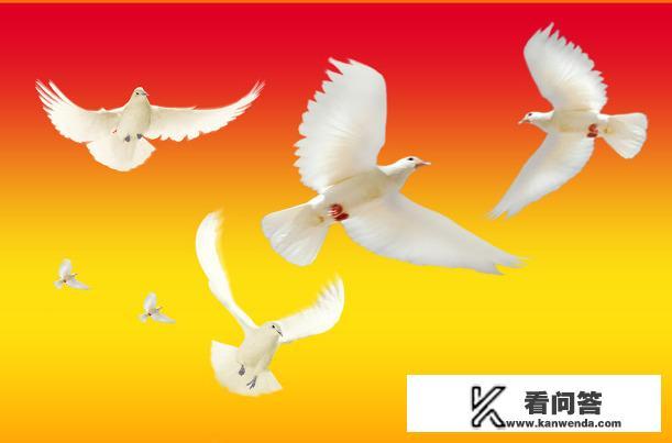 北京女大学生翼装飞行失联超100小时,网友:救援费用谁负责? 北京女大学生翼装飞行失联超100小时,网友:救援费用谁负责?