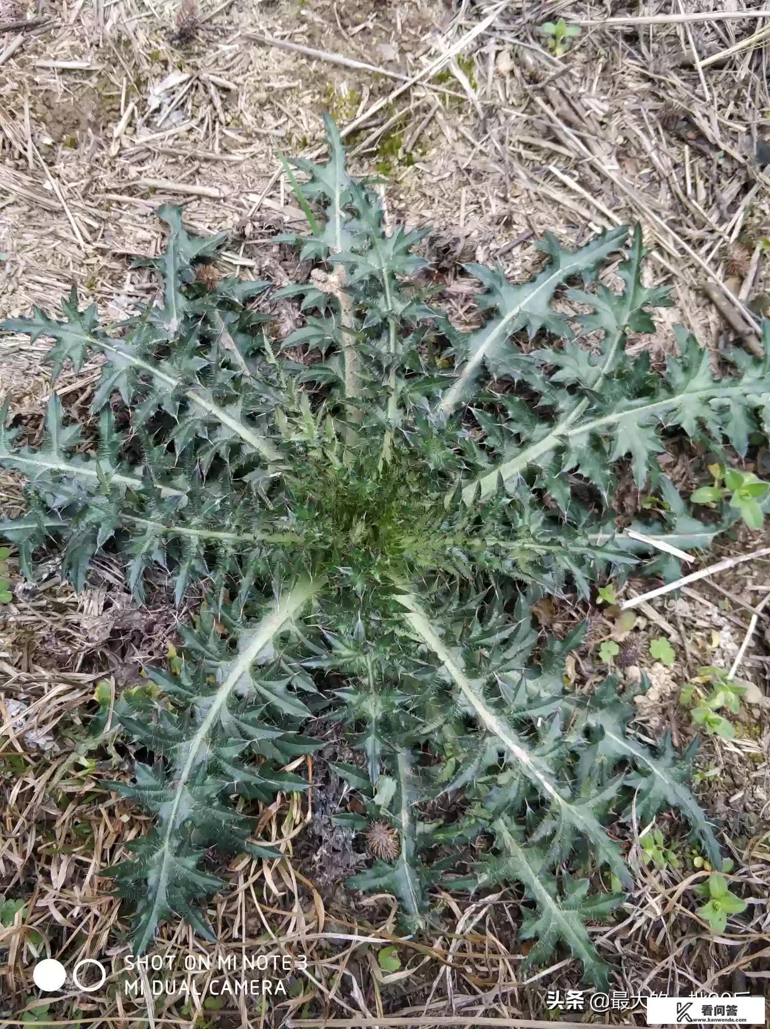 除了众所周知的三国杀以外，还有哪些优秀的国产桌游呢？
