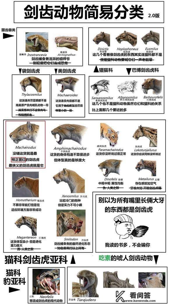 剑齿虎为何会突然灭绝? 剑齿虎为何会突然灭绝?