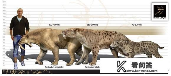 剑齿虎为何会突然灭绝? 剑齿虎为何会突然灭绝?