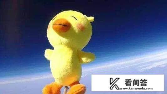 小黄鸭什么意思？