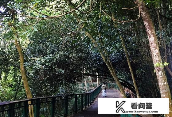 日月潭九蛙叠像：九只大青蛙齐齐露出水面，究竟是几个意思？