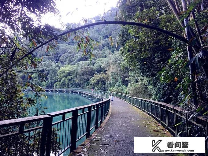 日月潭九蛙叠像：九只大青蛙齐齐露出水面，究竟是几个意思？