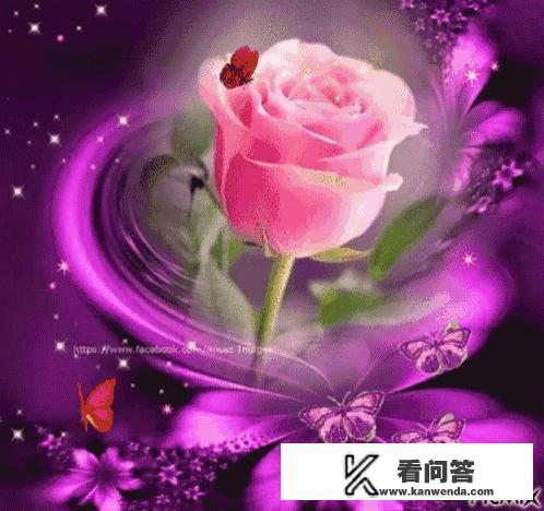 如果你成了世界首富，你会不会和跟了你25年的妻子离婚呢？亚马逊的首席执行官离婚了，你怎么看？