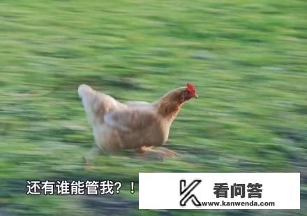 学车科目二考试要注意什么？