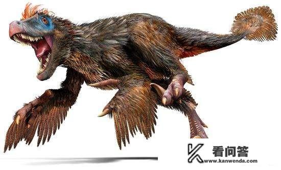 为什么人类、猴子、猿类的屁股都是两瓣，而不是一个球状或者三瓣？这样设计有何利弊？