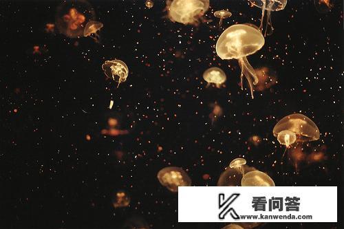 为什么几乎所有动物的鼻孔都是朝前方或者斜前方，只有人的是往下出气的？