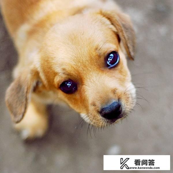 为什么几乎所有动物的鼻孔都是朝前方或者斜前方，只有人的是往下出气的？