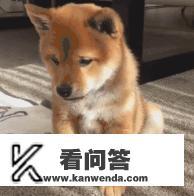 为什么几乎所有动物的鼻孔都是朝前方或者斜前方，只有人的是往下出气的？