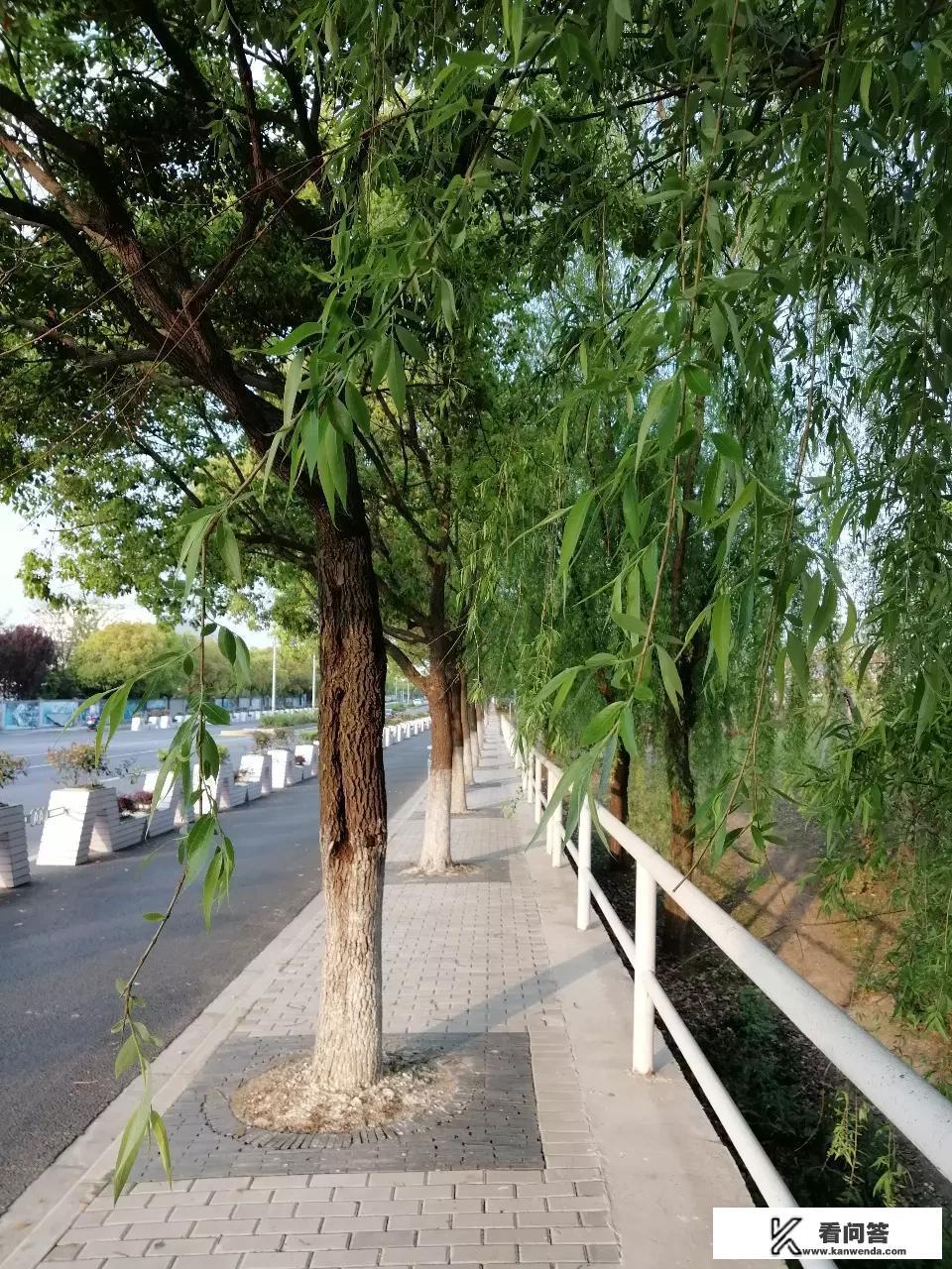 上海今晨局部地区发布大雾黄色预警，最高温26℃温差减小，今起接连四天都有雨，出行请注意带雨伞, 你怎么看？