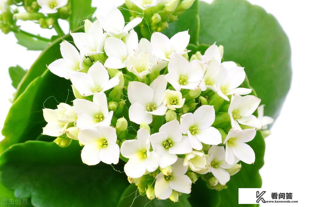 有些事冥冥中自有定数,跑都跑不掉,你信不信? 有些事冥冥中自有定数,跑都跑不掉,你信不信?