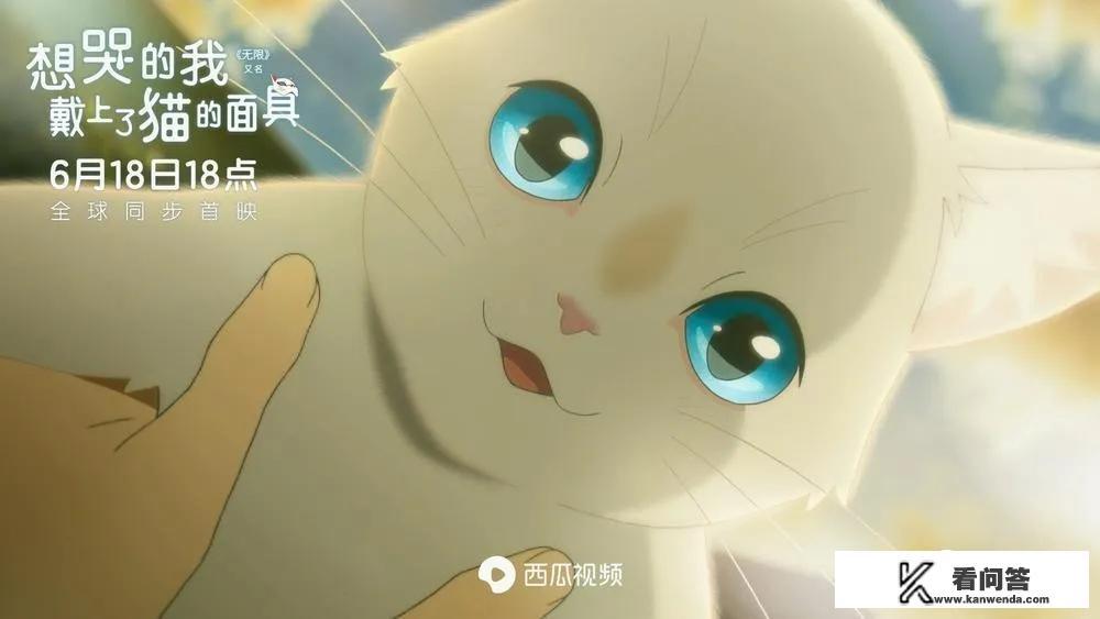 6月18号全球上映的动漫电影（无限），请评价一下这部电影？