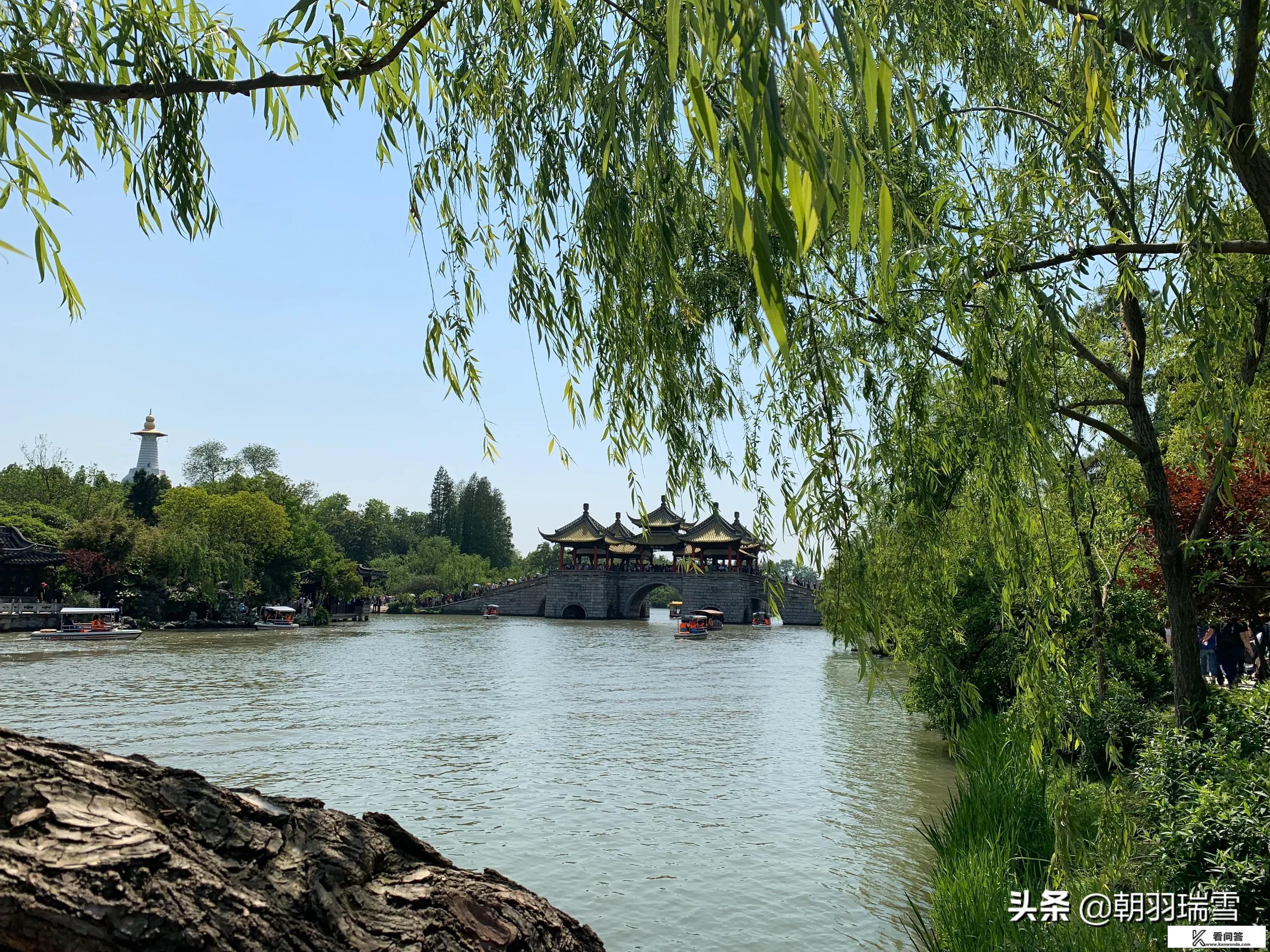 太湖翠竹和碧螺春的区别? 太湖翠竹和碧螺春的区别?