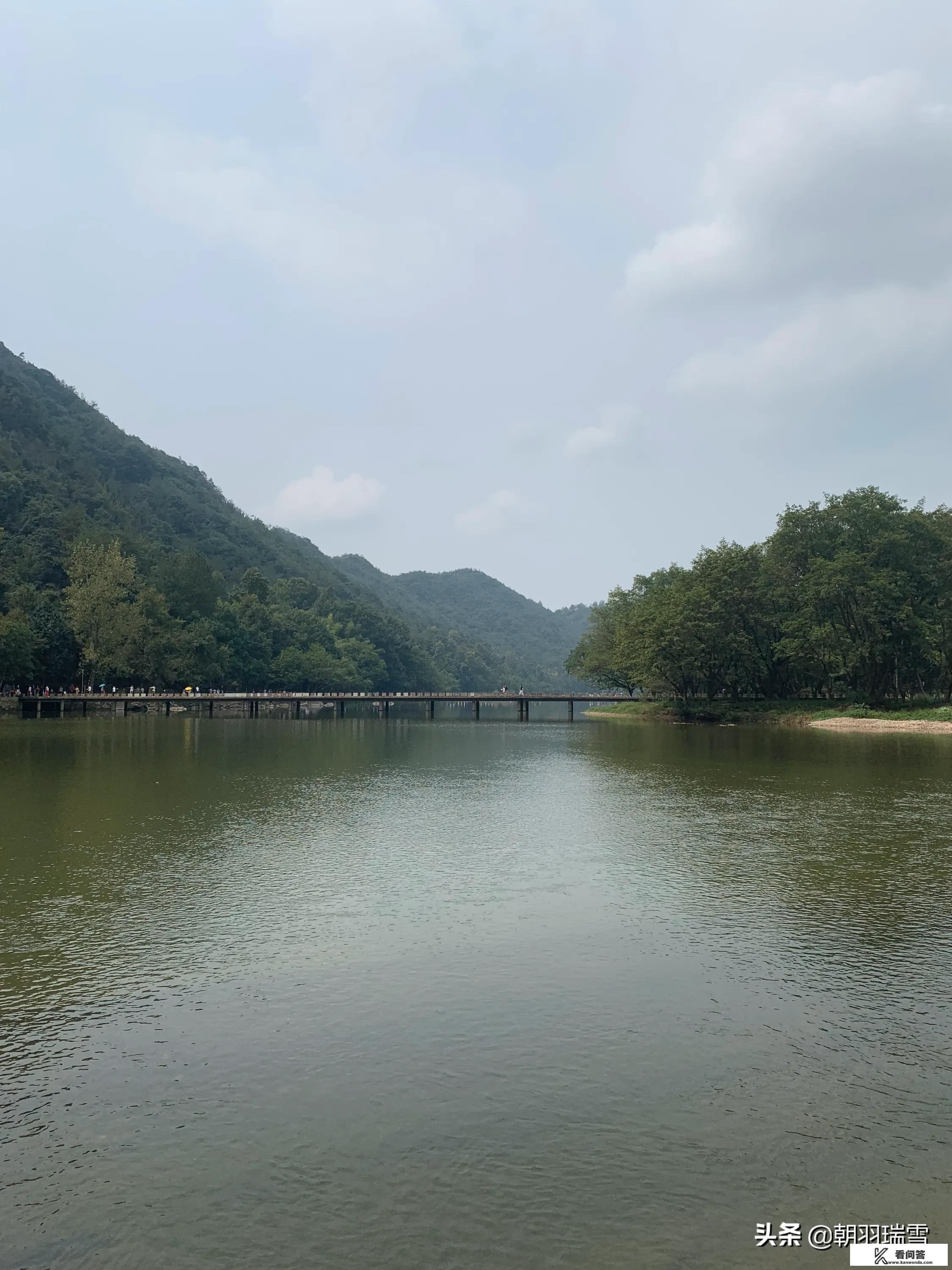 太湖翠竹和碧螺春的区别? 太湖翠竹和碧螺春的区别?