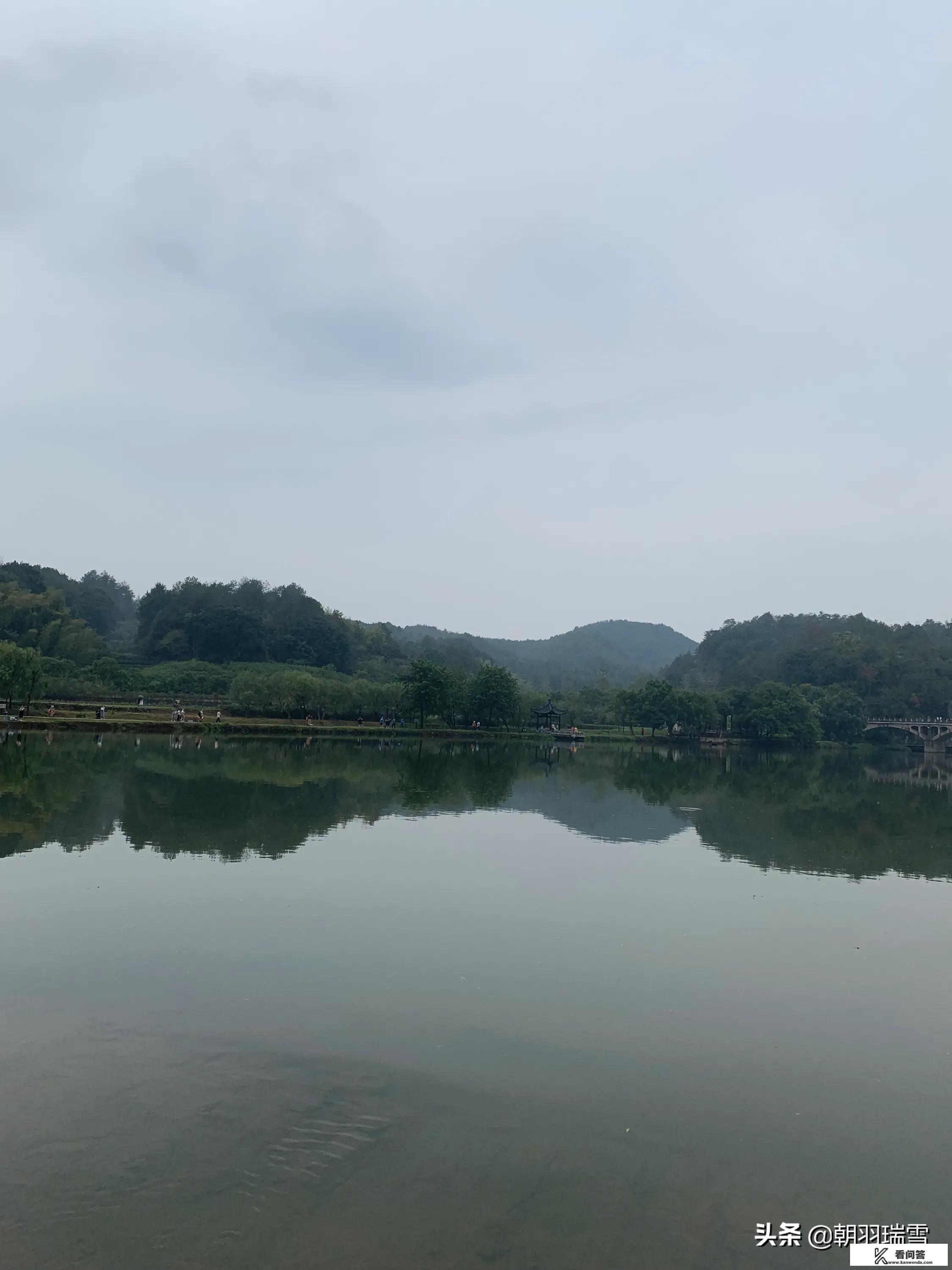 太湖翠竹和碧螺春的区别? 太湖翠竹和碧螺春的区别?