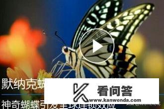 如何在手机上观看3D电影？