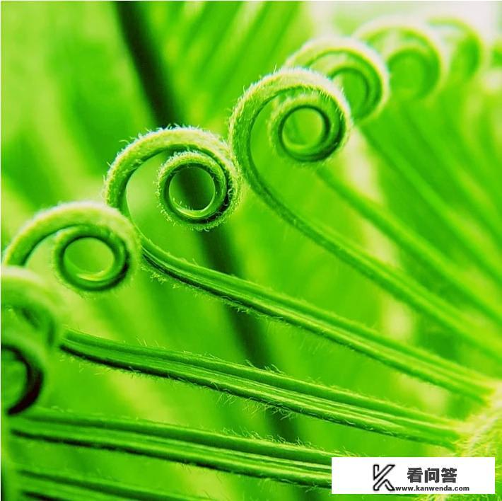 如何将文章写得具体生动？