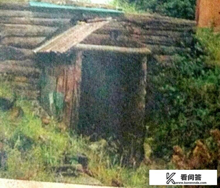 其实人间就是地狱感想？