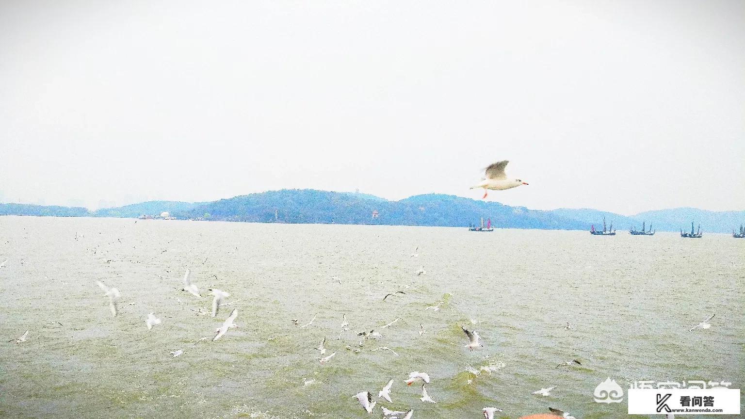 个人热点可以异地共享吗？