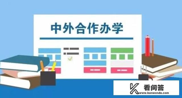 我的孩子被中央财经大学中外合作办学录取了，这个学校怎么样？