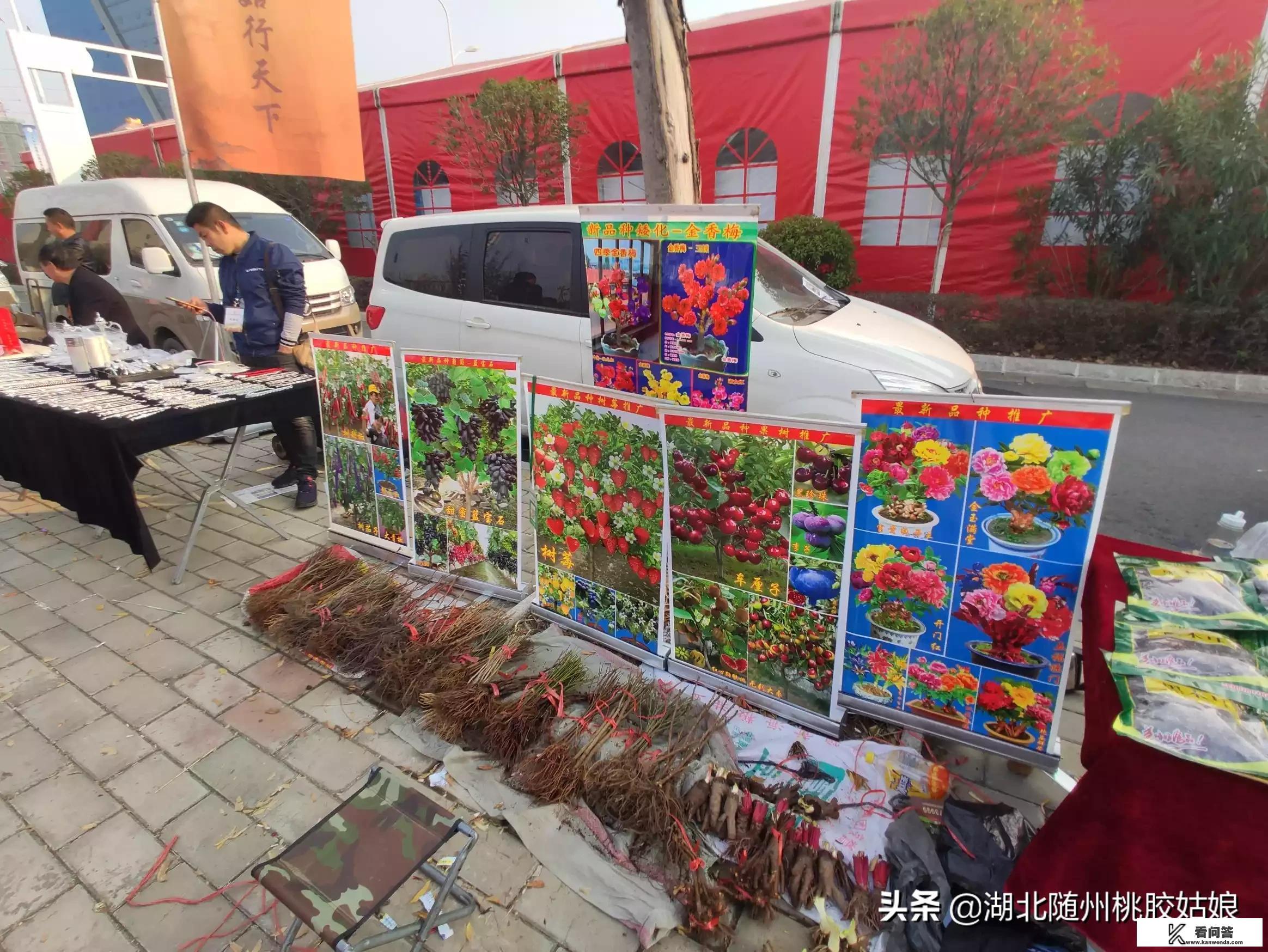 湖北随州，随县厉山的香菇节你去了没，你觉得有哪些亮点？