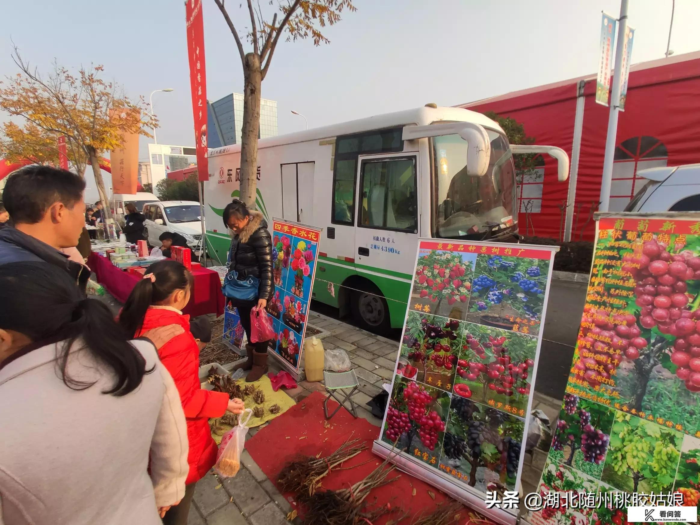 湖北随州，随县厉山的香菇节你去了没，你觉得有哪些亮点？