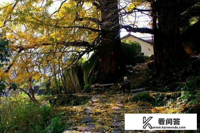 江西宜春最佳旅游时间？