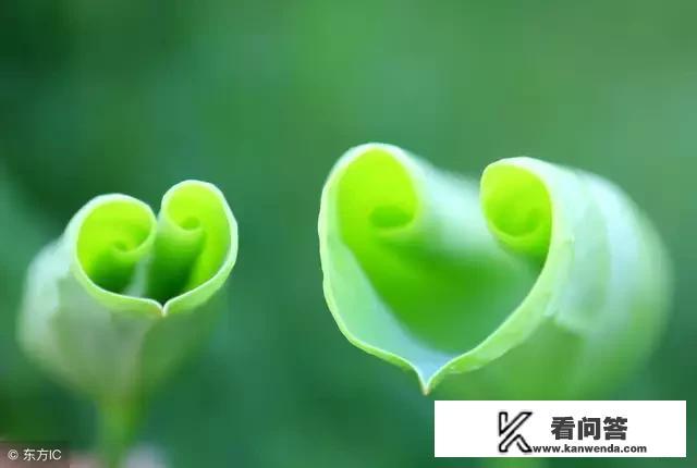 恋人之间有哪些亲密接触？会在什么时候发生？