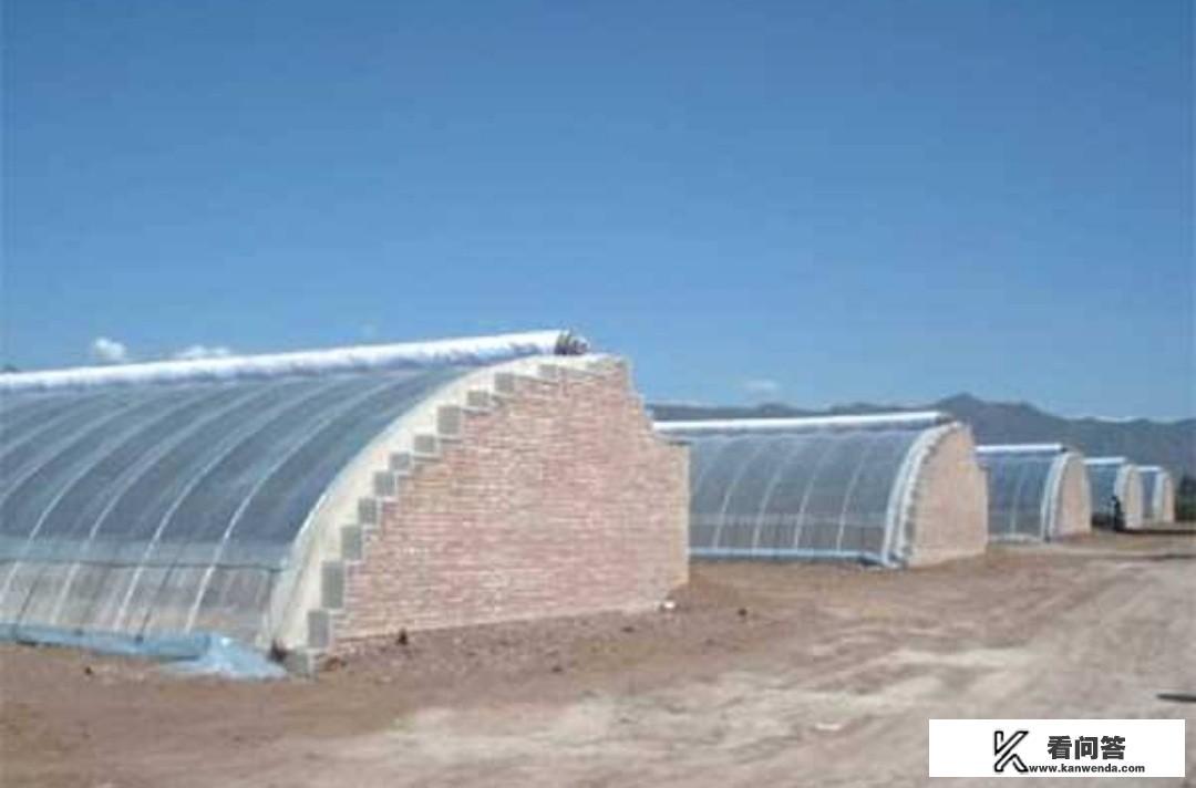 蔬菜大棚，该如何防旱防涝，防火？夏秋季如何防治病虫害？
