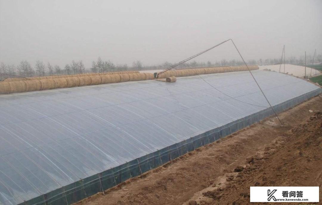 蔬菜大棚，该如何防旱防涝，防火？夏秋季如何防治病虫害？